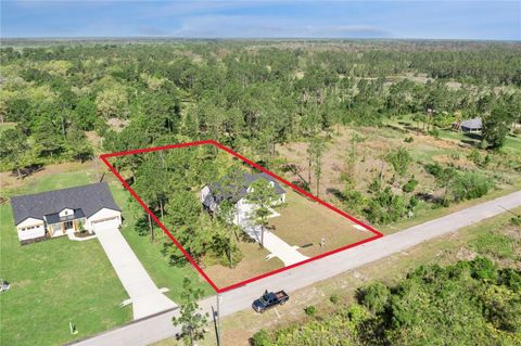 Tiny photo for 42875 Honeysuckle Street, Eustis, FL 32736 (MLS # O6397684)
