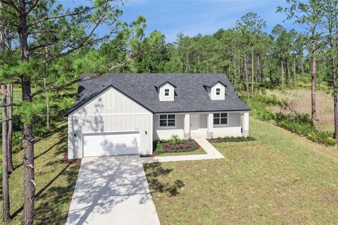Tiny photo for 42875 Honeysuckle Street, Eustis, FL 32736 (MLS # O6397684)