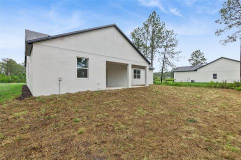 Tiny photo for 42875 Honeysuckle Street, Eustis, FL 32736 (MLS # O6397684)
