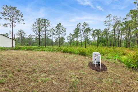 Tiny photo for 42875 Honeysuckle Street, Eustis, FL 32736 (MLS # O6397684)
