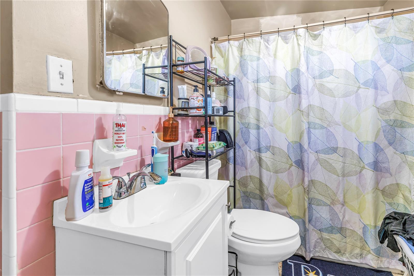 NORTH ST PETERSBURG - Residential