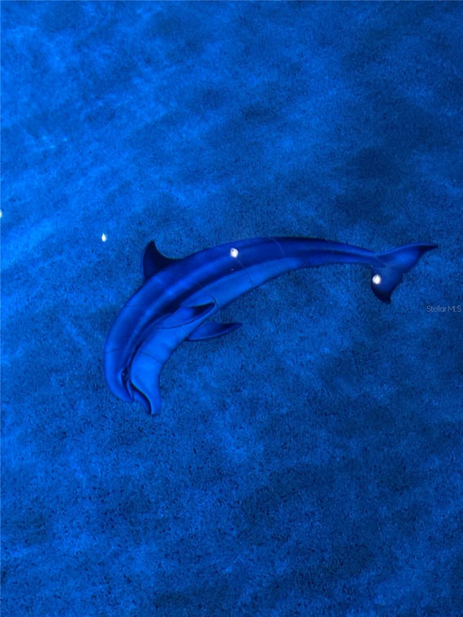 DEL TIERRA PH I - Residential