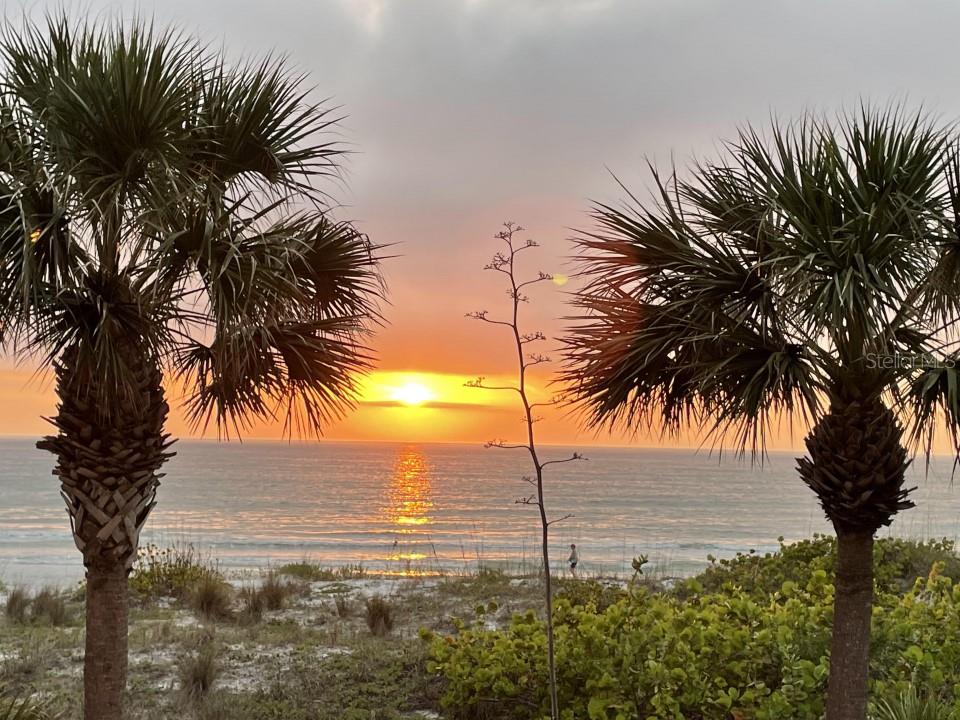 DA VINCI CONDO - Residential