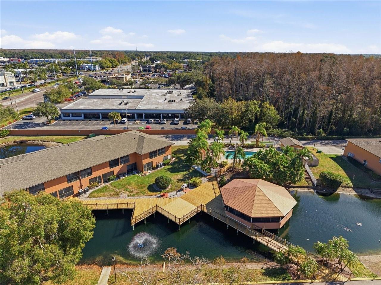 CARROLLWOOD COVE AT EMERALD GR - Residential