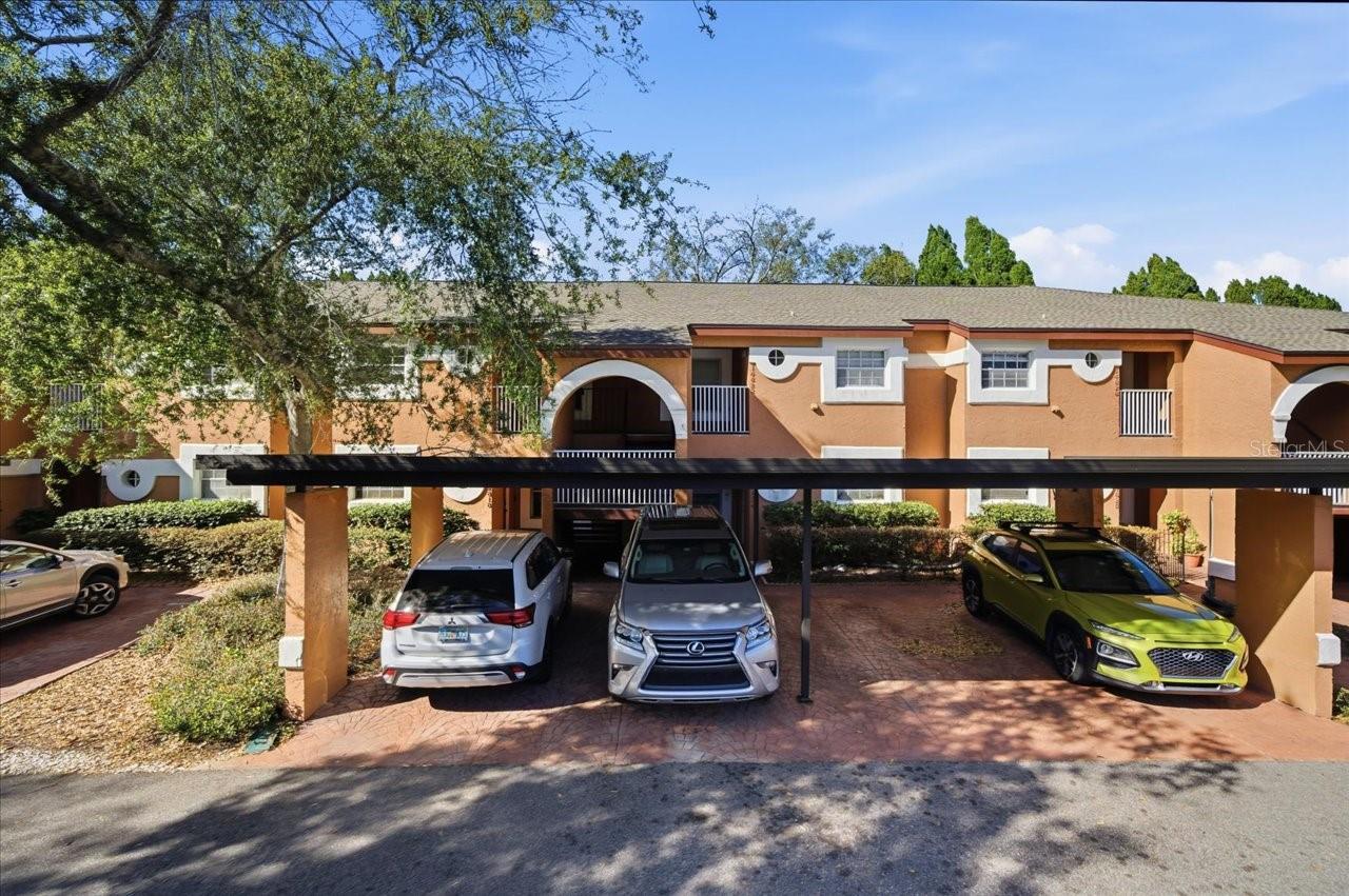 CARROLLWOOD COVE AT EMERALD GR - Residential