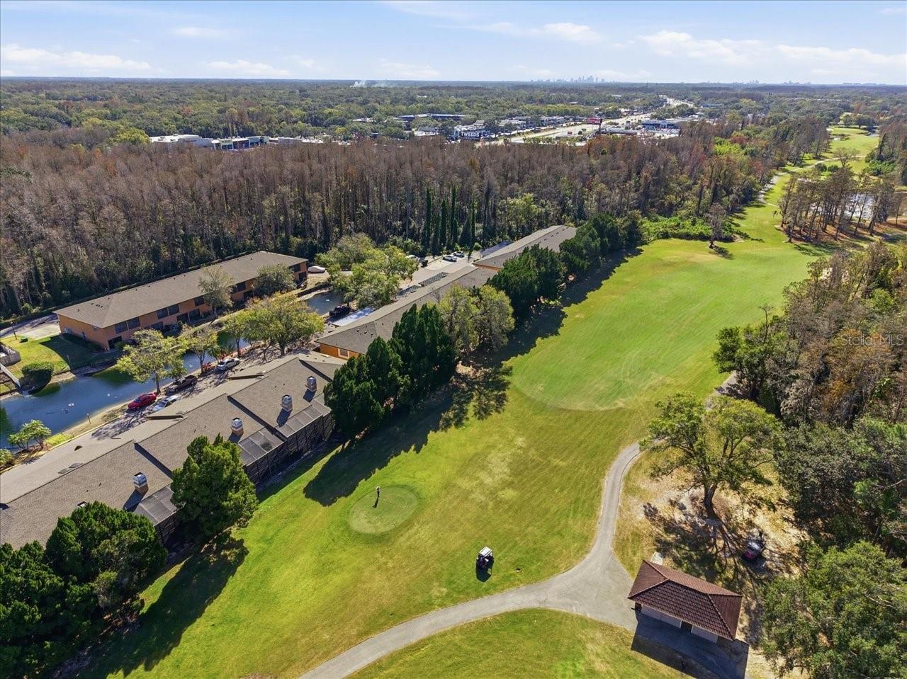 CARROLLWOOD COVE AT EMERALD GR - Residential