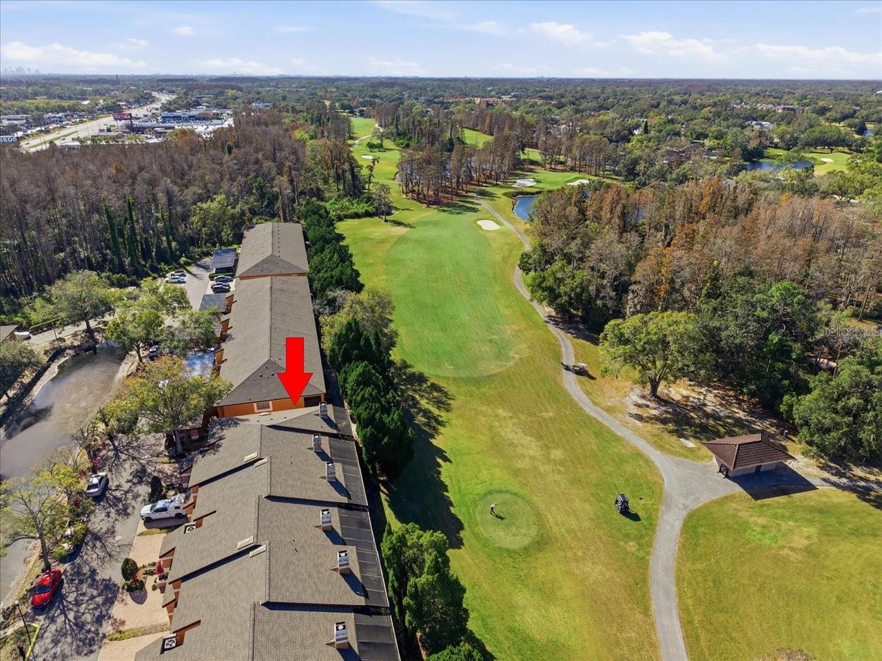 CARROLLWOOD COVE AT EMERALD GR - Residential