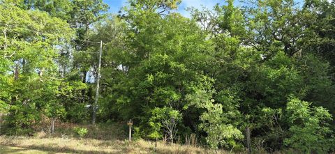 Tiny photo for 9351 NW 120th Street, Chiefland, FL 32626 (MLS # GC540014)