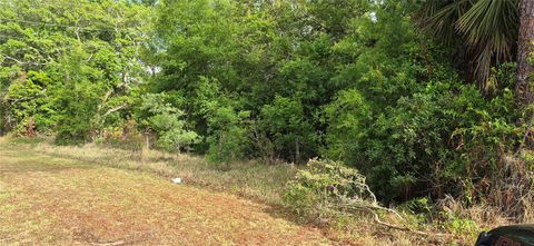 Tiny photo for 9351 NW 120th Street, Chiefland, FL 32626 (MLS # GC540014)