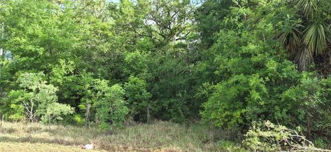 Tiny photo for 9351 NW 120th Street, Chiefland, FL 32626 (MLS # GC540014)