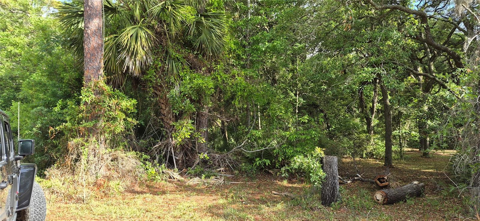 GLENWOOD ESTATES - Land