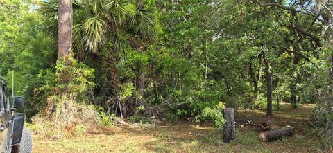 Photo of 9351 NW 120th Street, Chiefland, FL 32626 (MLS # GC540014)