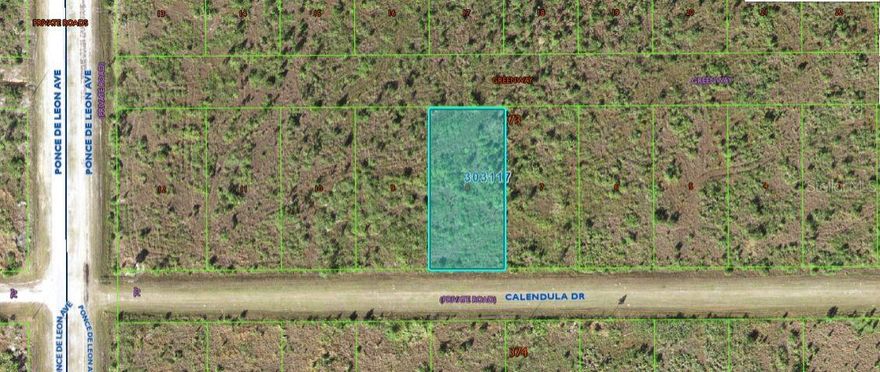 VACANT RESIDENTIAL
Note: buyers I emphasize the importance of conducting thorough due diligence to ensure that the property meets your expectations and requirements.