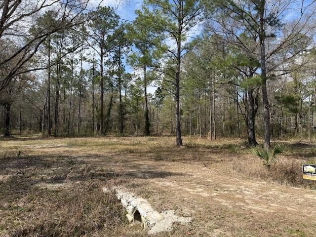 FLAGLER ESTATES - Land