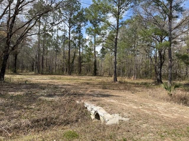 FLAGLER ESTATES - Land