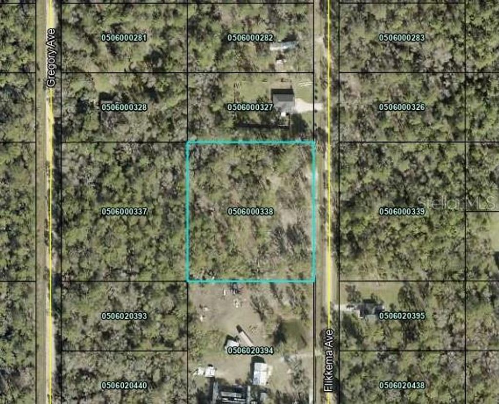 Photo of 10055 Flikkema Avenue, Hastings, FL 32145 (MLS # FC316474)