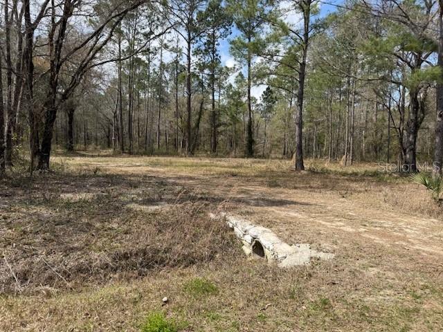 FLAGLER ESTATES - Land