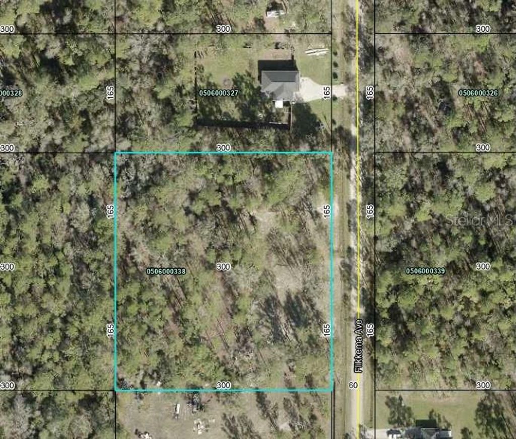 Photo of 10055 Flikkema Avenue, Hastings, FL 32145 (MLS # FC316474)