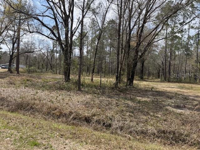 FLAGLER ESTATES - Land