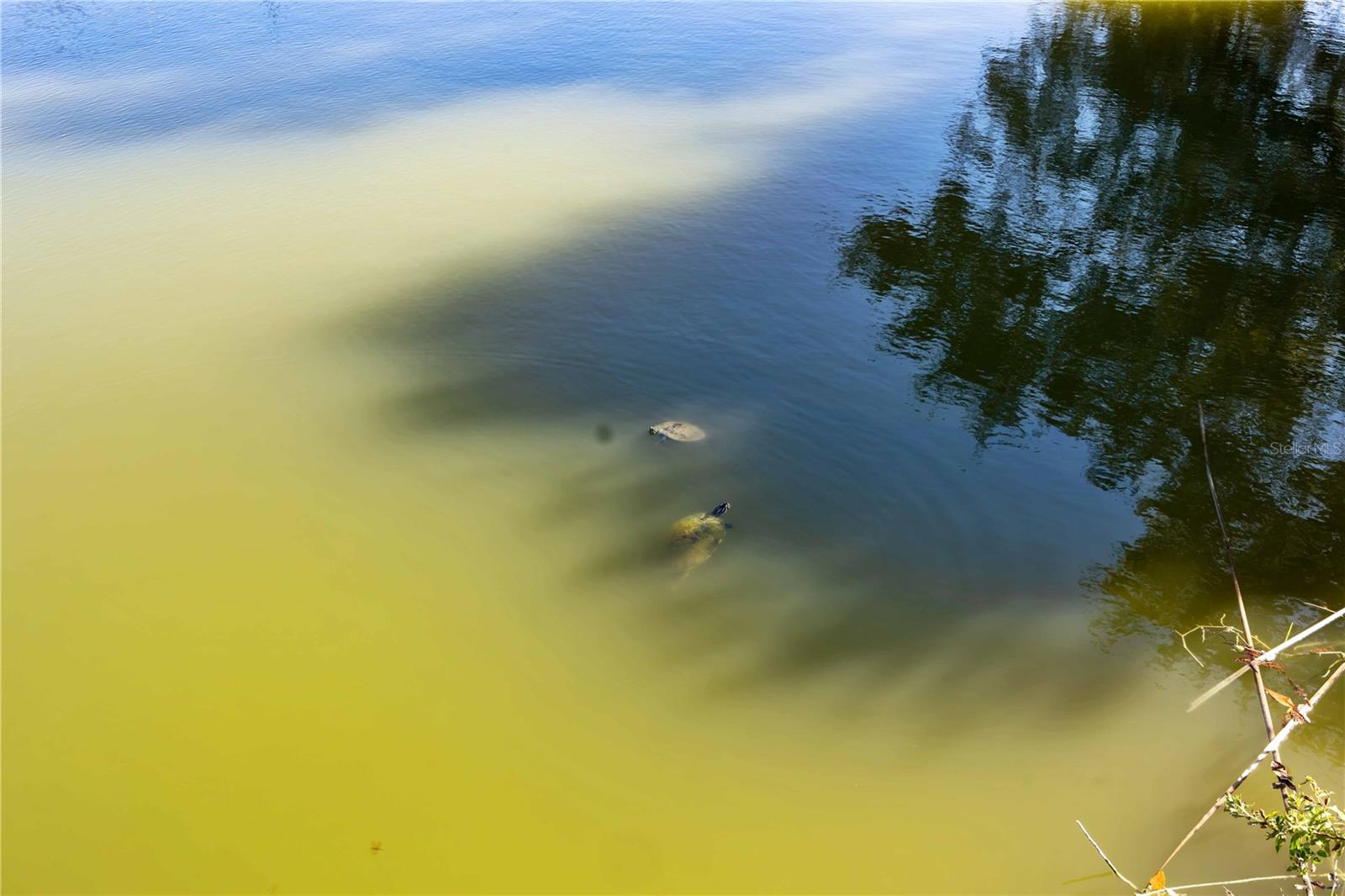 HOL MOB ESTATES 2ND ADD - Residential