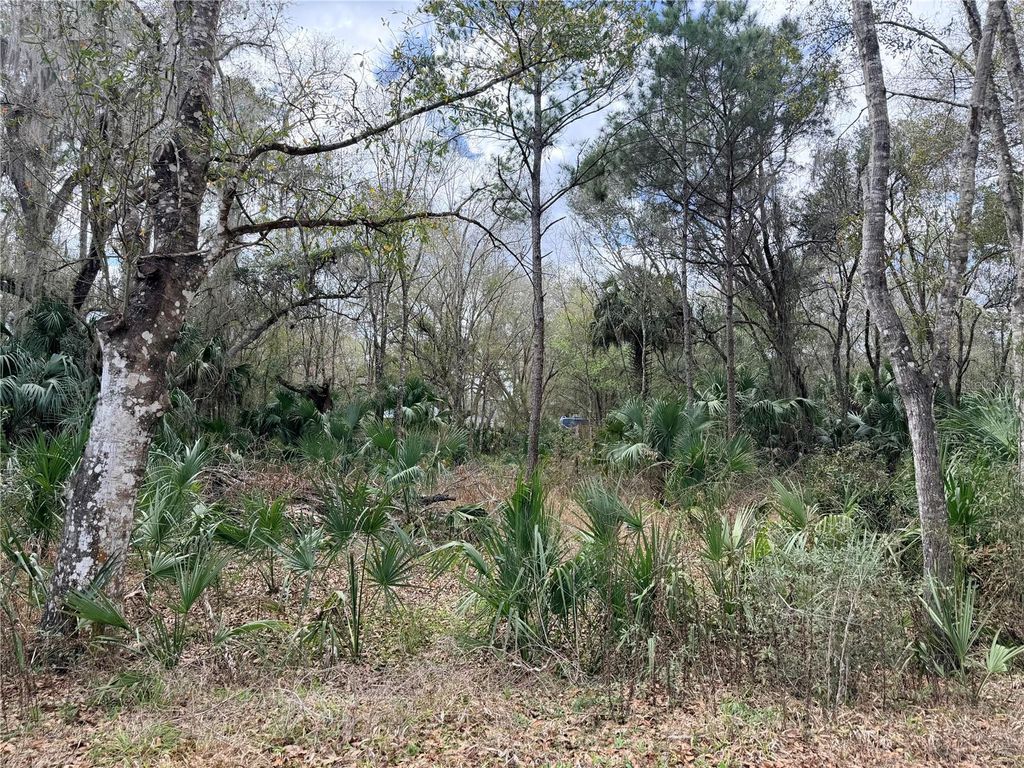 Photo of 736 S Sickle Pt, Inverness, FL 34450 (MLS # G5108952)