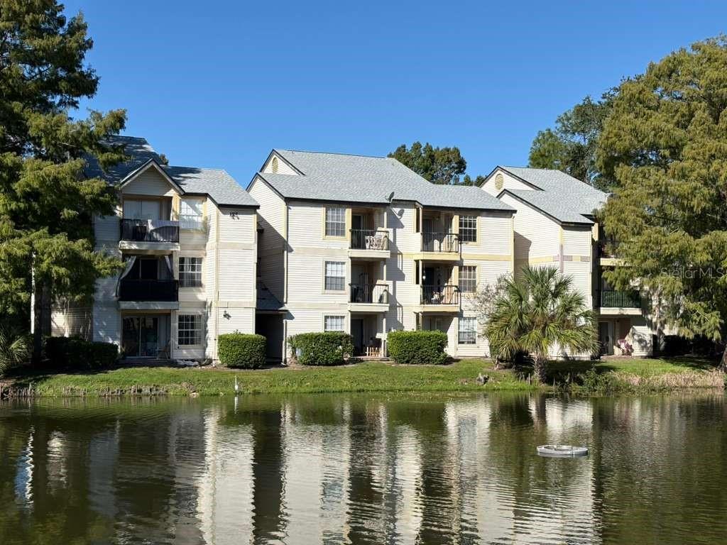 PLAZA/MILLENIUM - Residential Lease