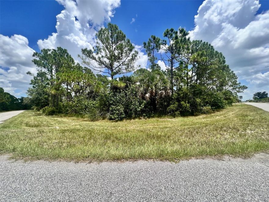 Beautiful oversized corner lot with a northern rear exposure in a quiet neighborhood of new and developing homes in area.