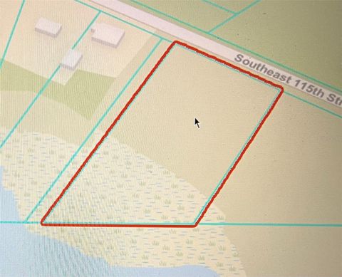 TBD SE 115TH STREET OCKLAWAHA FL 32179