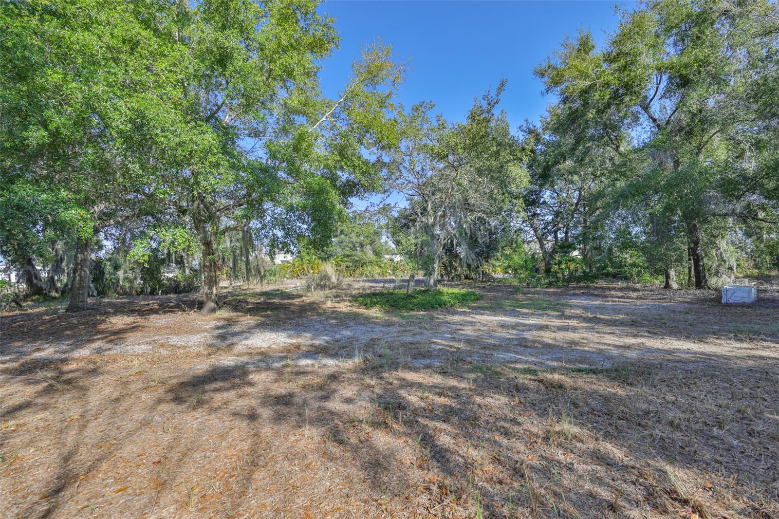 UNPLATTED - Residential