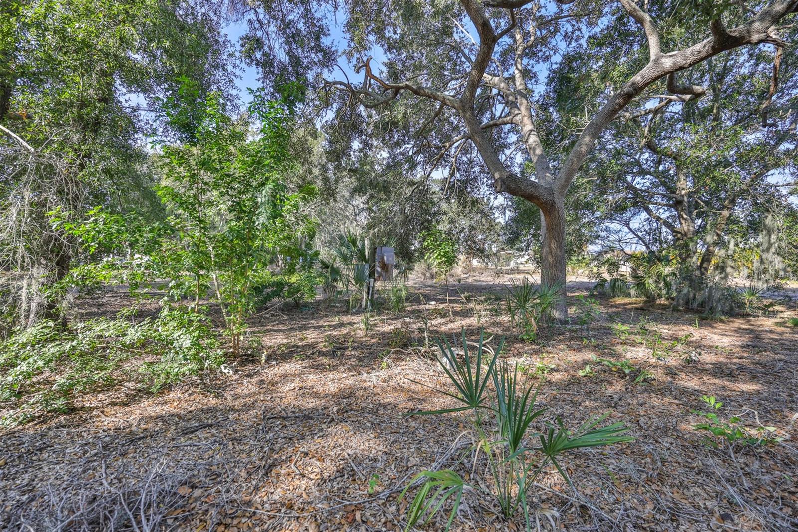 UNPLATTED - Residential