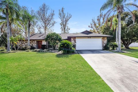 Photo of 35148 Dolphin Lake Drive, Zephyrhills, FL 33541 (MLS # O6382650)