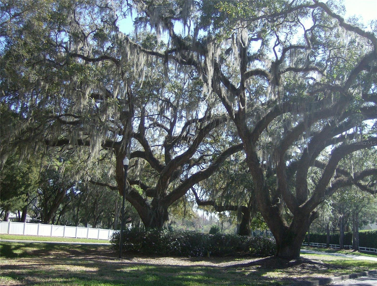 SCOTTISH HIGHLANDS CONDO PH B - Residential