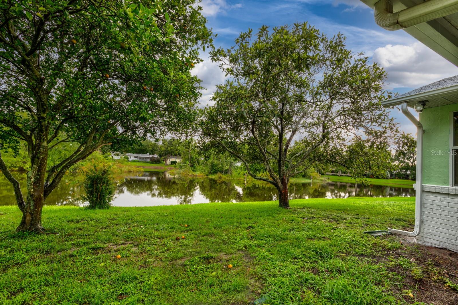 SCOTTISH HIGHLANDS CONDO PH B - Residential