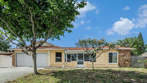 2632 TUNG DRIVE HOLIDAY FL 34691
