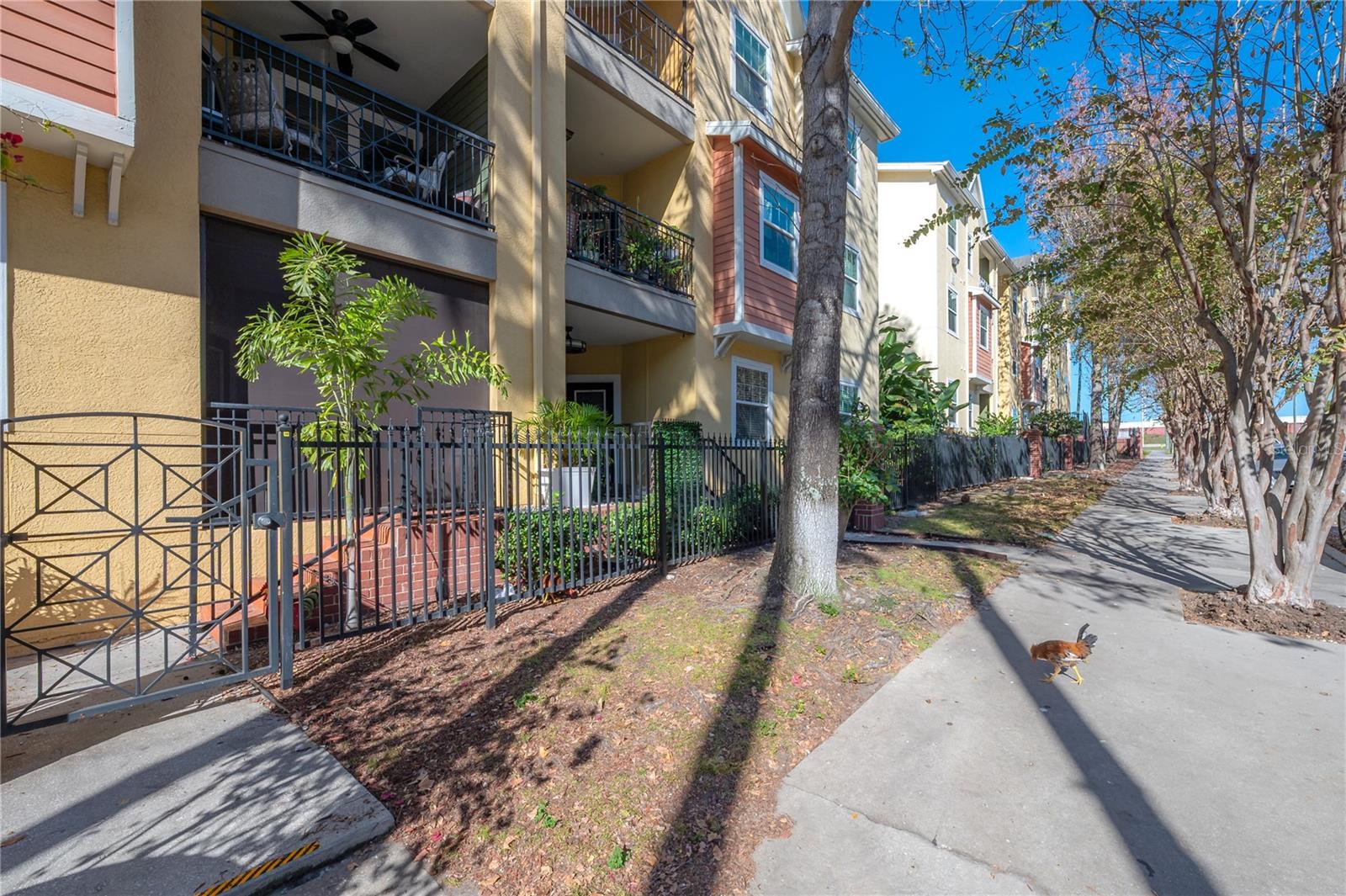 THE QUARTER AT YBOR - Residential