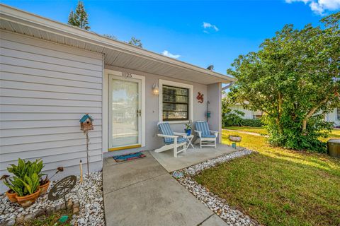 A home in DUNEDIN