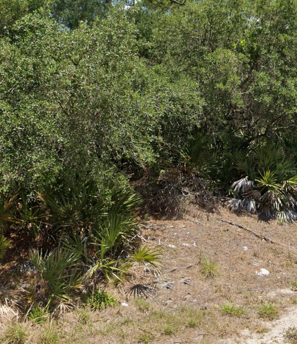 Vacant residential lot available in a rapidly growing area! Perfect for building your dream home or a great opportunity for investors. Located in Leisure Lakes, with close proximity to restaurants, gas stations, grocery stores, and more. Enjoy the natural beauty and nearby lakes with no HOA fees. Easy access to major roads, making this an ideal location for future development.
