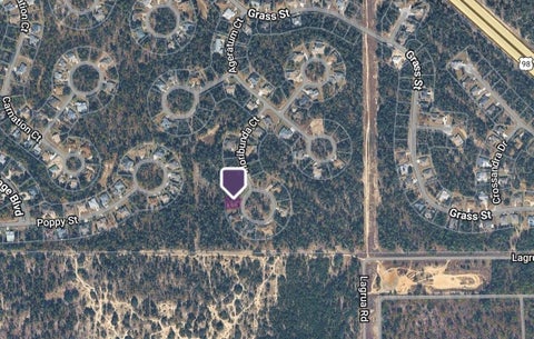 Photo of 14 Floribunda Court, Homosassa, FL 34446 (MLS # GC544376)