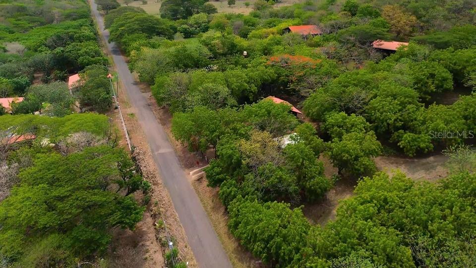 01 Tempatal LA CRUZ, GUANACASTE