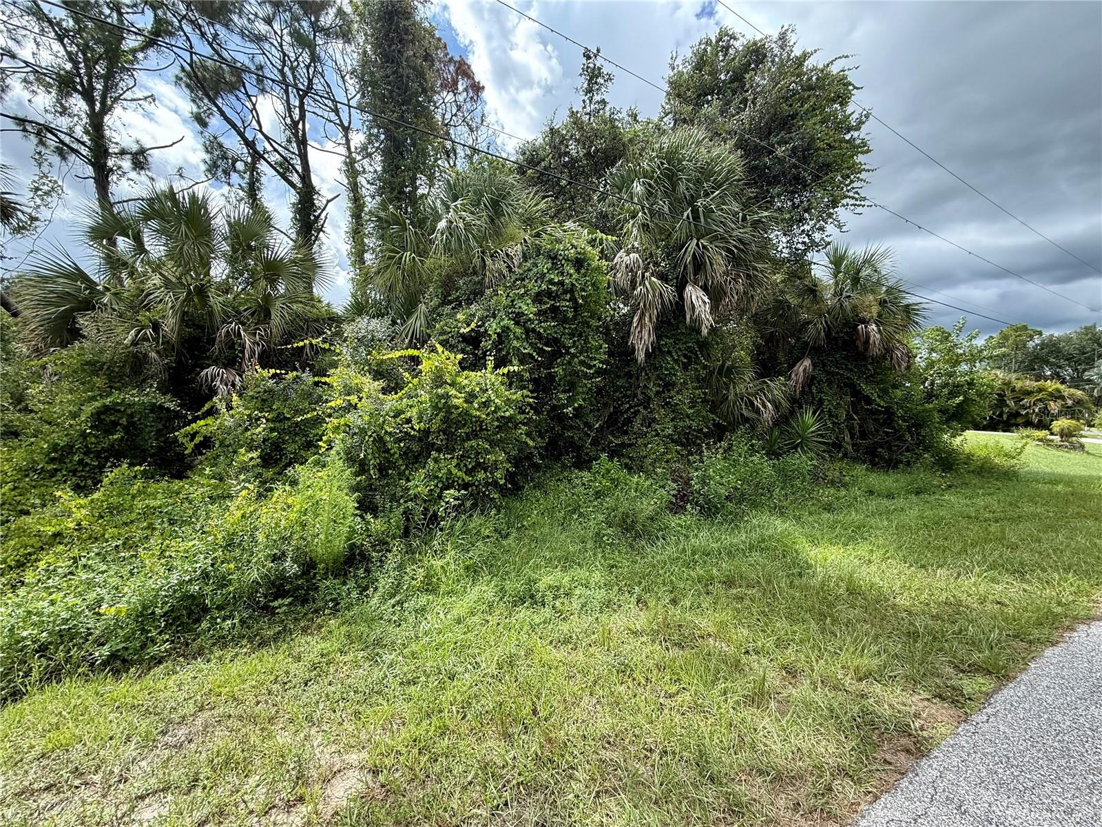 Looking for that perfect piece of land to build your slice of paradise on? Here's a great lot in this up-and-coming area of North Port! NO flood insurance required, save money and build with confidence!!! Electric at site, and no need to worry about mitigating Scrub Jays as property is NOT located in a habitat. Bring all your toys...store your RV, boat, kayaks, put up a detached garage, shed for an art studio, trampoline, or treehouse, doesn't matter as this is a non-deed restricted area of Sarasota County! And of course, what could be more Florida than having your own pool which the property has plenty of room for! Property is close to all amenities including sandy beaches & crystal waters of Venice, Englewood & Boca Grande Beaches, Golf Courses, boat launches, minutes from TWO Spring training Stadiums, the Rays & the Braves who hosts games against the Yankees, Red Sox, Mets & more. Have local builder with floorplans of 3 bedroom 2 bathroom homes with 10’ ceilings, 8’ doors porcelain plank flooring throughout, Quartz/Granite, lighting & fans, appliances, Impact windows…all-inclusive pricing starting at $320,000.