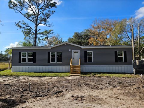 Photo of 2738 10th Street, Orlando, FL 32820 (MLS # O6335617)