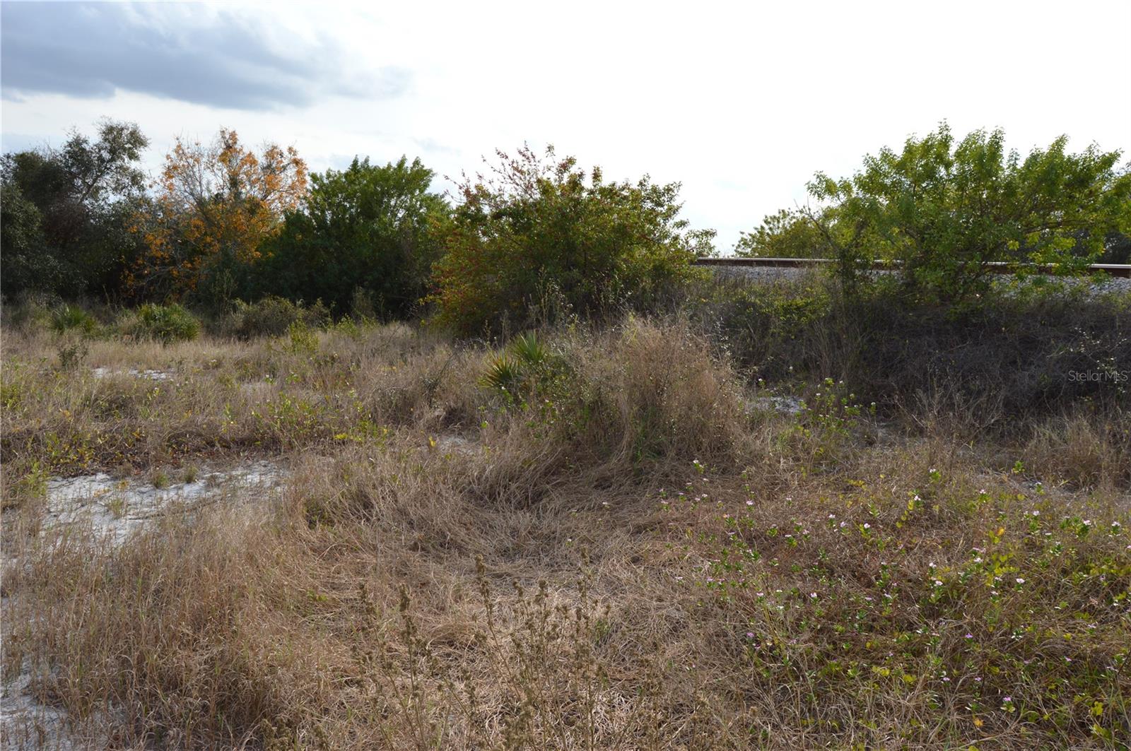 SEABOARD COASTLINE RAILROAD - Land