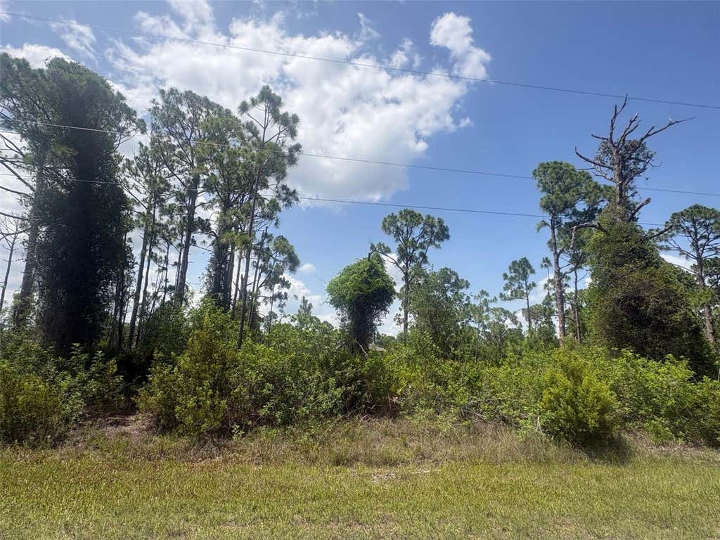Photo of 14200 Naylor Avenue, Port Charlotte, FL 33981 (MLS # A4701382)