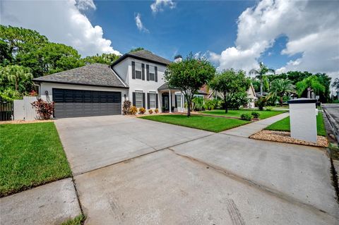 A home in TAMPA