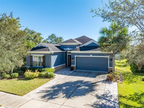 A home in LITHIA