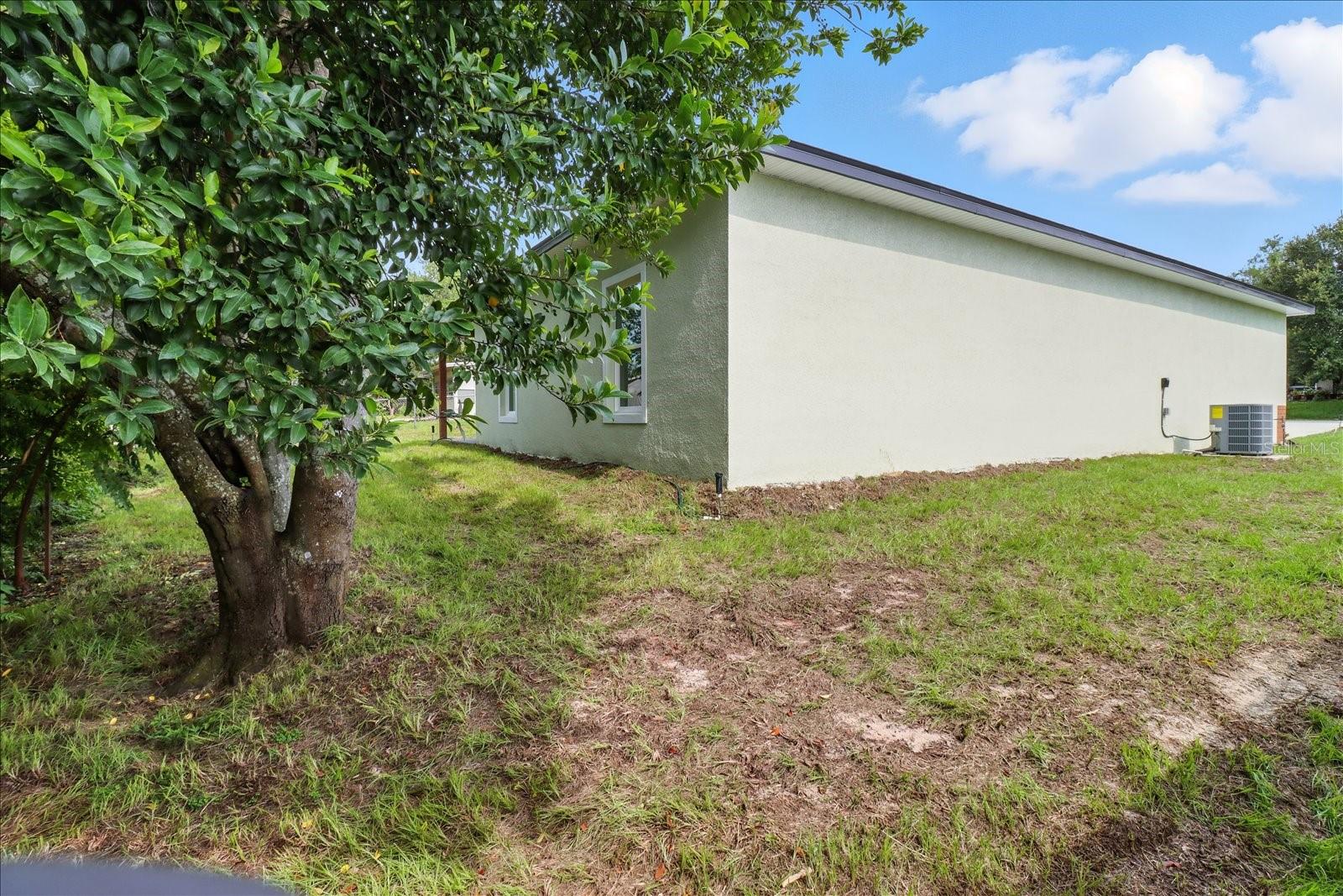 CITRUS SPGS UNIT 02 - Residential