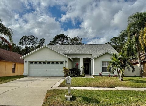 A home in TAMPA