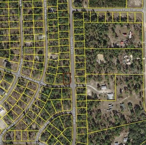 Photo of 1222 Fisher Lane Way, Ocklawaha, FL 32179 (MLS # OM728320)
