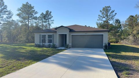3177 W ELDRIDGE DRIVE CITRUS SPRINGS FL 34433