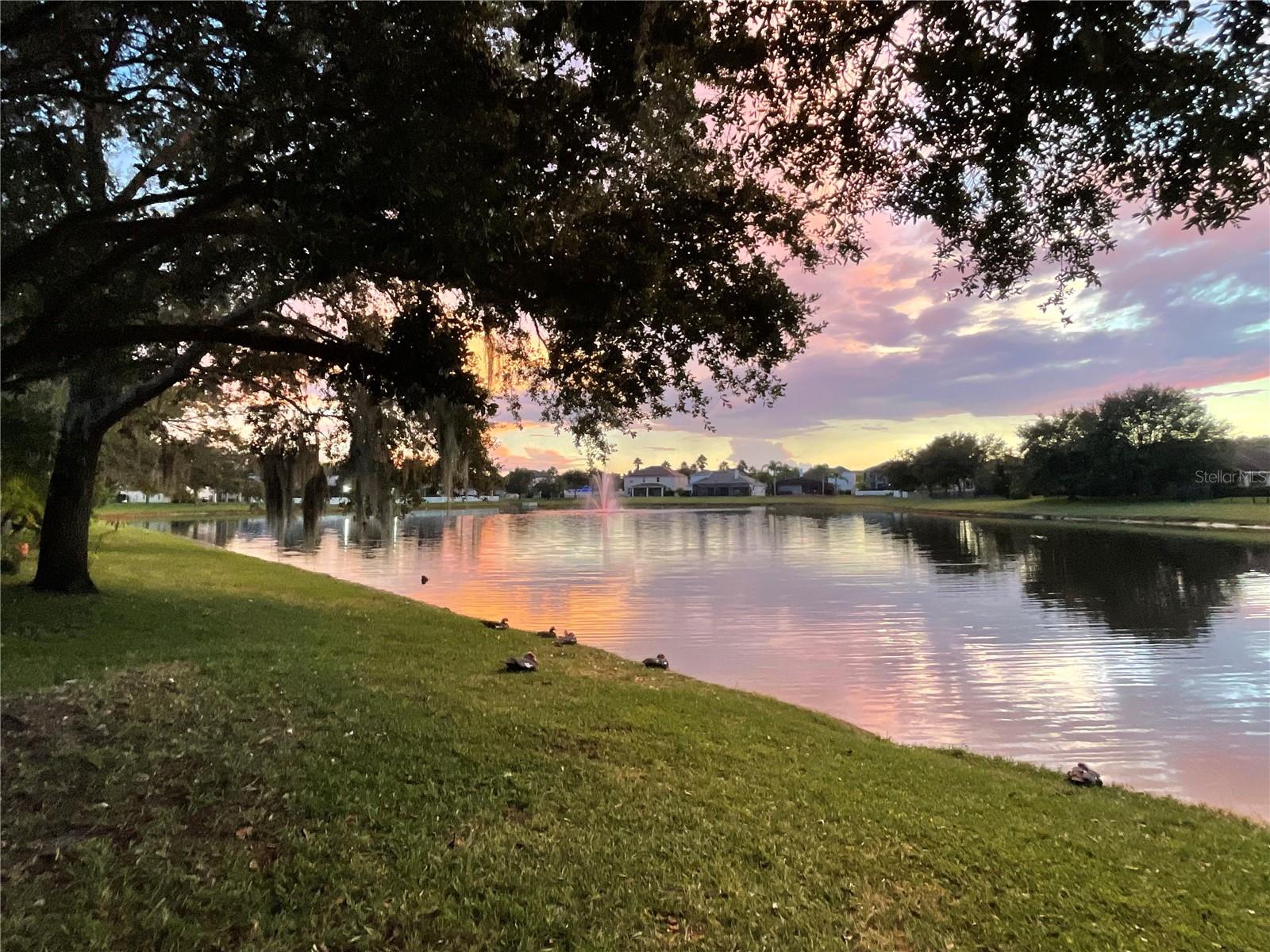 TIMBER ISLE PH 02 - Residential Lease